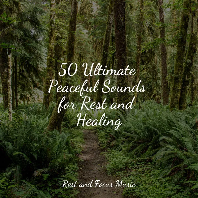 50 Ultimate Peaceful Sounds for Rest and Healing