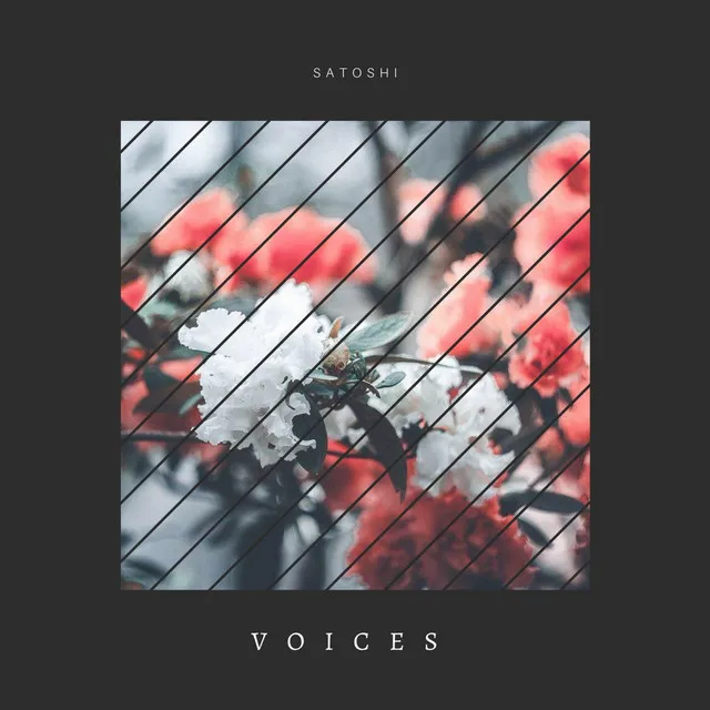 Voices