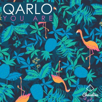 You Are by Qarlo