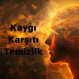 Kaygı Karşıtı Temizlik – Bilinçdışı Blokajları, Gerginliği ve Korkuyu Serbest Bırakın by Solfeggio Frequencies MT