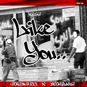 Like You by Unknown Artist