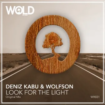 Look For The Light by Wolfson