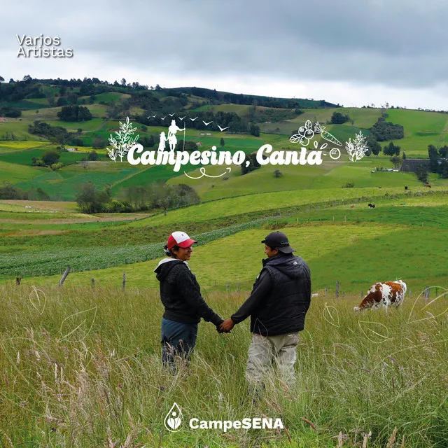 Campesino, Canta