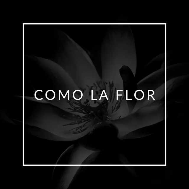 Como La Flor