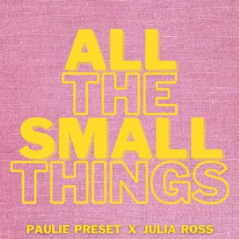 All The Small Things by Paulie Preset