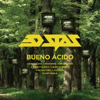 Bueno Acido by 3D Stas