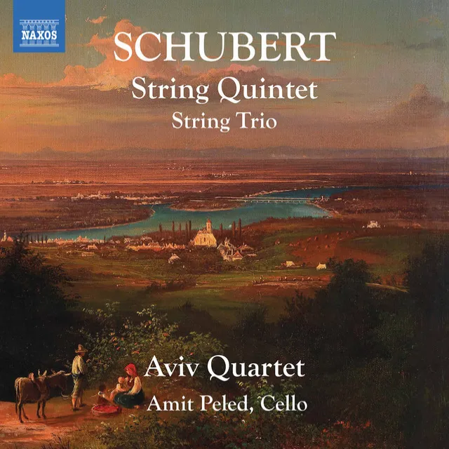 String Quintet in C Major, Op. 163, D. 956: IV. Allegretto - Più allegro