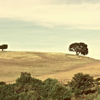 Caklinut by Henry