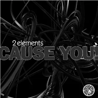 Cause You! by 2Elements