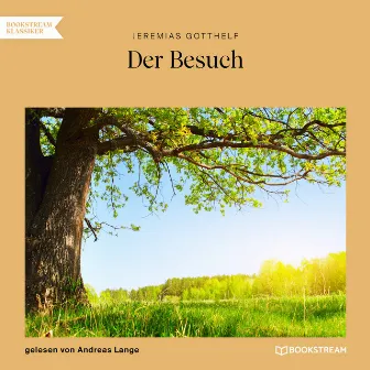 Der Besuch (Ungekürzt) by Jeremias Gotthelf