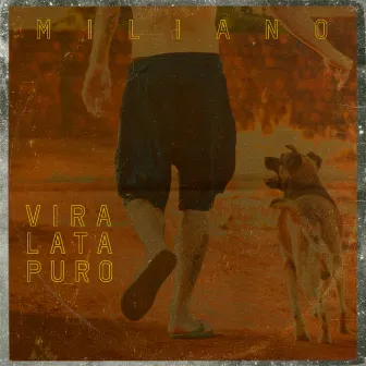 Vira Lata Puro by Miliano