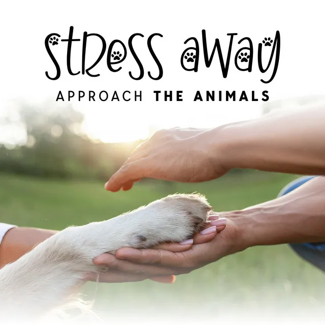 Stress Away Approach The Animals