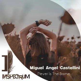 Never Is The Same by Miguel Angel Castellini