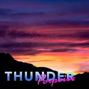 The Singles by Thunder Porpoise