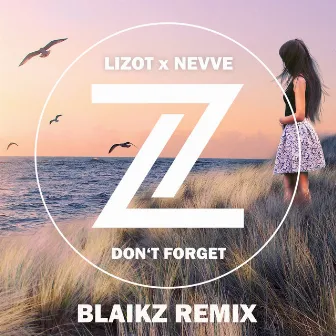 Don't Forget (Blaikz Remix) by Blaikz