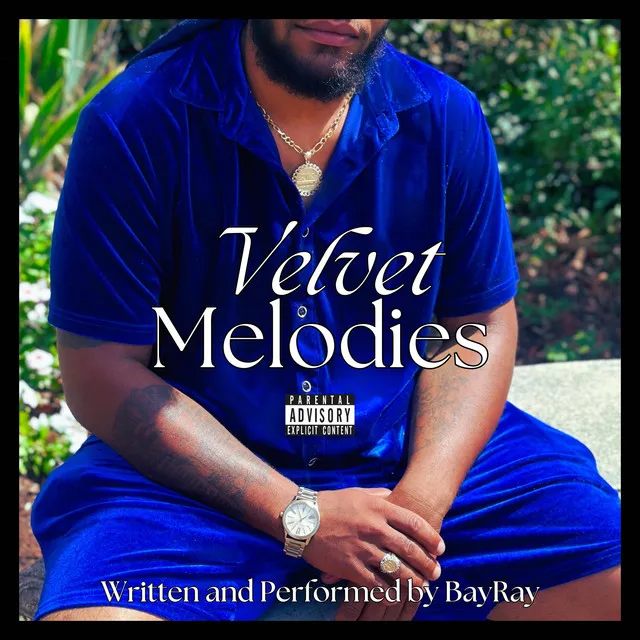 Velvet Melodies