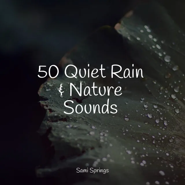 50 Quiet Rain & Nature Sounds