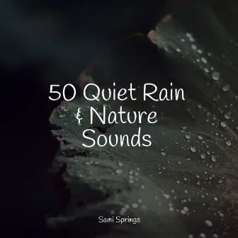 50 Quiet Rain & Nature Sounds by Nature Sounds for Relaxation and Sleep