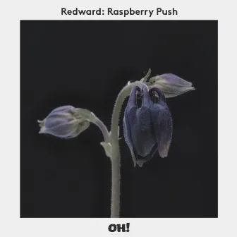 Raspberry Push by Redward