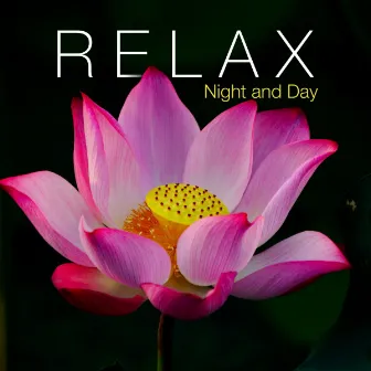 Relax Night and Day - Zen Music for Positive Energy by Unknown Artist