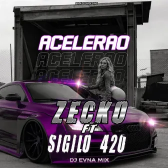 Acelerao by Zecko