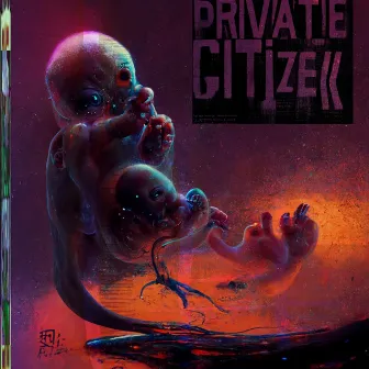 Private Citizen by Private Citizen