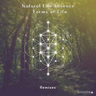 Forms Of Life (Remixes) by Natural Life Essence