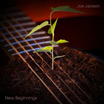 New Beginnings by Joe Jackson