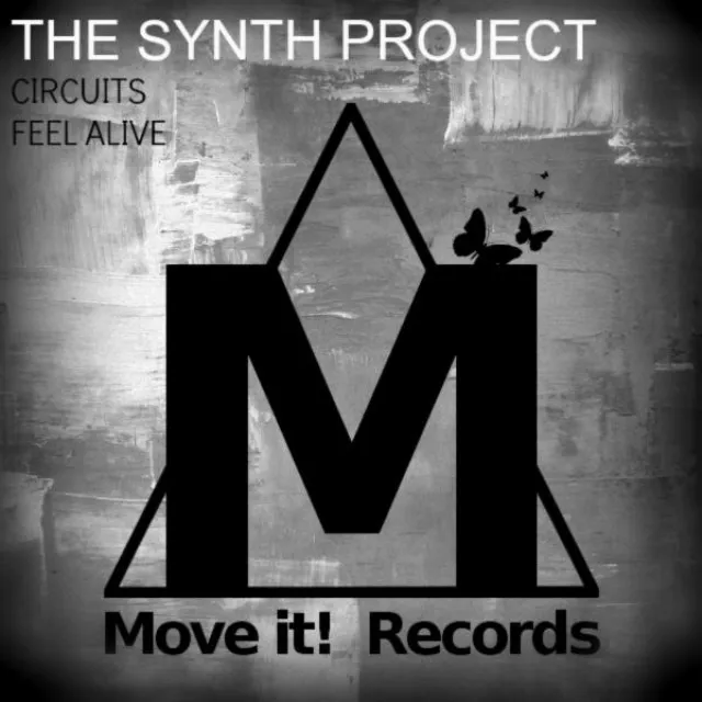 The Synth Project