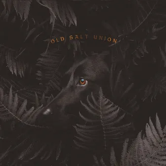 Where the Dogs Don't Bite by Old Salt Union