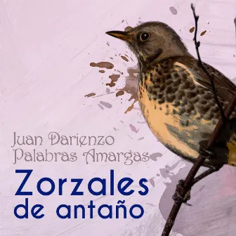 Zorzales de Antaño - Juan Darienzo - Palabras Amargas by Orquesta De Juan Darienzo