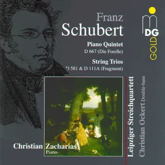 Schubert: Quintet D 667 