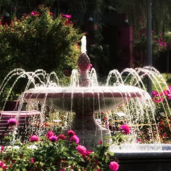 Flowers and Fountain by Sneak Music