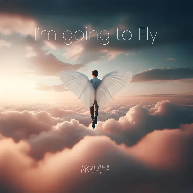 I'm going to fly