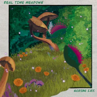 Real Time Meadows by Scribe I.R.T.