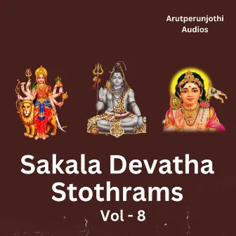 Sakala Devatha Stothrams, Vol. 8 by Rahul K. Raveendran