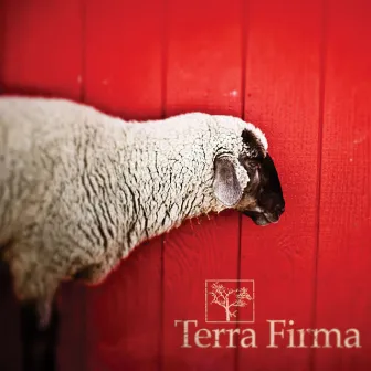 Terra Firma by The Flashbulb