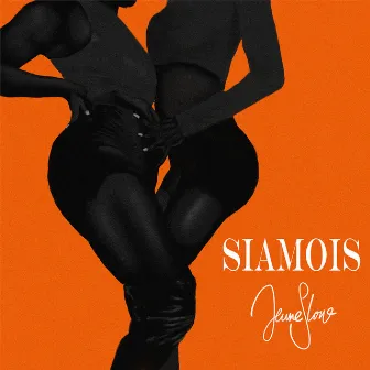 Siamois by Jeune Slow