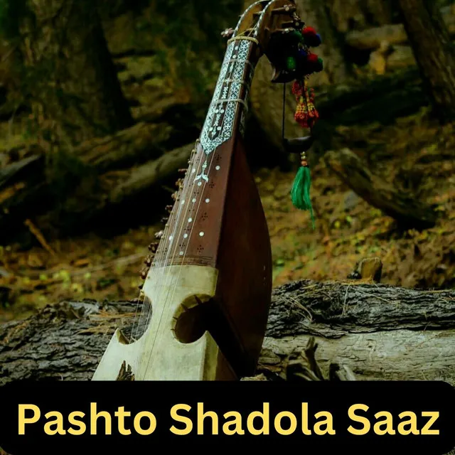 Pashto Shadola Saaz