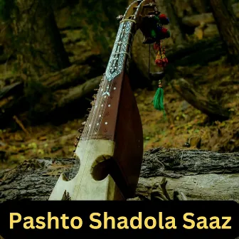 Pashto Shadola Saaz by Wali Dad