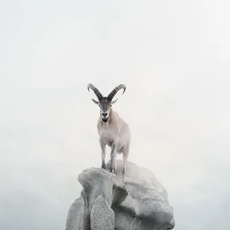 The Goat by J Believe