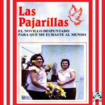 El Novillo Despuntado by Las Pajarillas