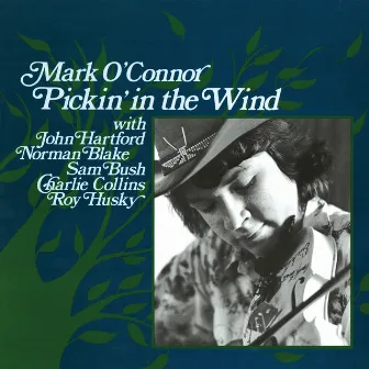 Pickin' In The Wind by Mark O'Connor