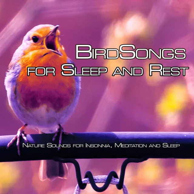 Birdsongs for Sleep and Rest: Nature Sounds for Insonnia, Meditation and Sleep