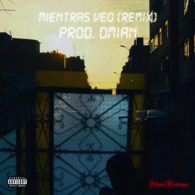 Mientras Veo (Remix)