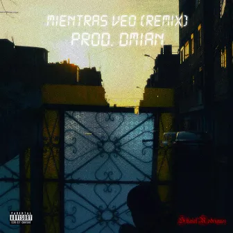 Mientras Veo (Remix) by Shaiel Rodriguez