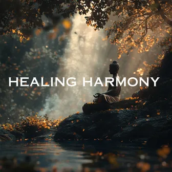 Healing Harmony - Meditation Music for Stress Relief by Sound Bowl Meditation