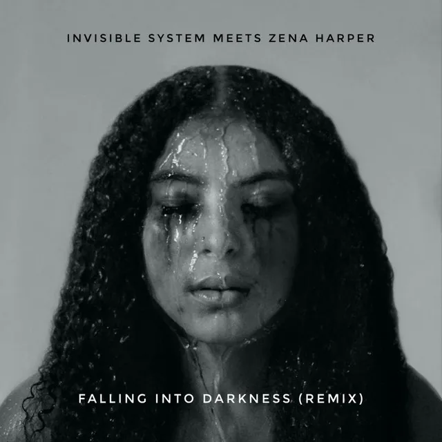 Falling Into Darkness (Remix)