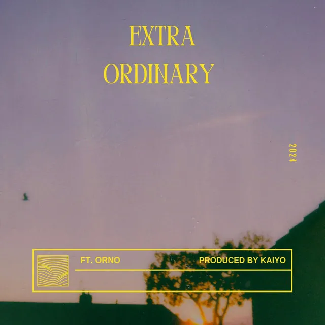 Extra Ordinary