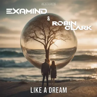 Like A Dream by Robin Clark